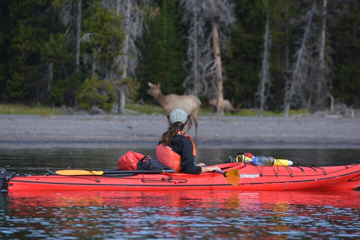 Small-Group Sunset Kayaking Tour on Lake Yellowstone - Photo 1 of 11